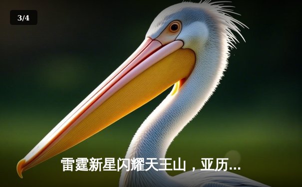 雷霆新星闪耀天王山，亚历山大39分率队逆转独行侠 - 3